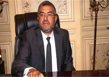 النائب عماد سعد حمودة