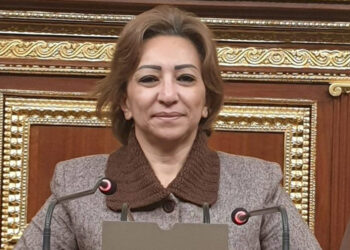 النائبة مها عبد الناصر البرلمان