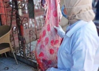 لضبط الأسواق .. بيطري الشرقية يحرر 3 محاضر مخالفة ببعض المناطق