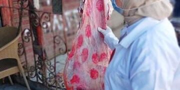 لضبط الأسواق .. بيطري الشرقية يحرر 3 محاضر مخالفة ببعض المناطق