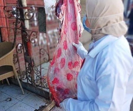 لضبط الأسواق .. بيطري الشرقية يحرر 3 محاضر مخالفة ببعض المناطق