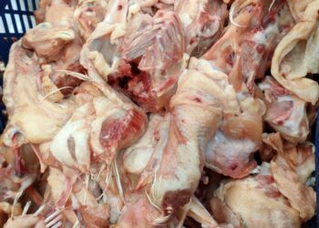 ضبط ٤٦ طن لحوم ودواجن وأسماك غير صالحة للإستهلاك الأدمي بالجيزة