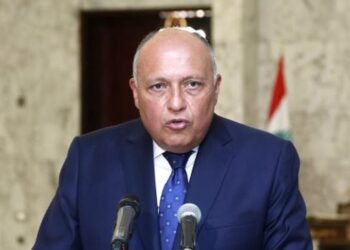 وزير الخارجية :مصر تعزز الجهود الدولية لمواجهة تغير المناخ