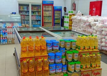 التحفظ على 357 سلعة منتهية الصلاحية في الإسكندرية