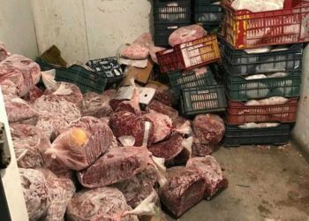 تفاصيل ضبط نصف طن لحوم فاسدة داخل مطعم شهي في عابدين