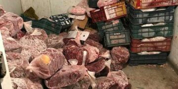 تفاصيل ضبط نصف طن لحوم فاسدة داخل مطعم شهي في عابدين