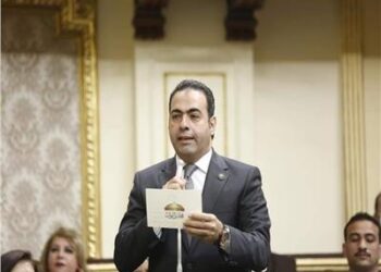 محمود حسين البرلمان