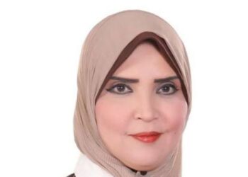 ميرفت عبد العظيم برلمان