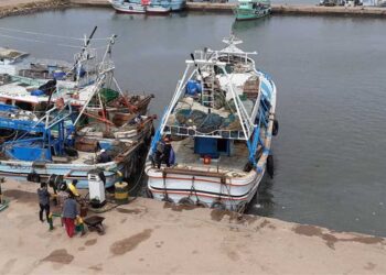 توقف حركة الملاحة والصيد بميناء البرلس لسوء الأحوال الجوية