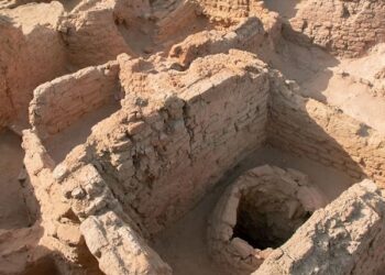 صور.. كشف أثري عن مركز إداري يرجع إلى العصر الانتقالي الأول