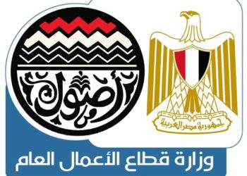 وزير قطاع الأعمال: إنشاء وإدارة محطات شحن السيارات الكهربائية داخل المدن قريبًا