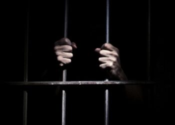 المشدد 6 سنوات لعامل يتاجر في مخدر التامول بسوهاج