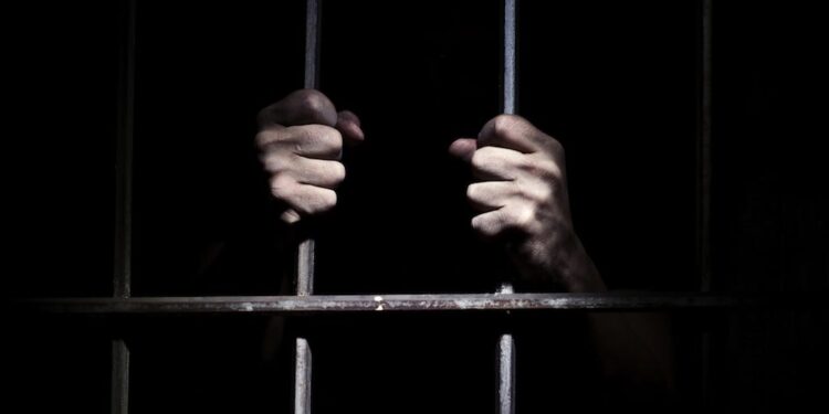 المشدد 6 سنوات لعامل يتاجر في مخدر التامول بسوهاج