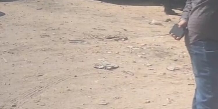 وصول أسر ضحايا حادث الشيخ لحضور ثالث جلسات محاكمة كريم الهواري