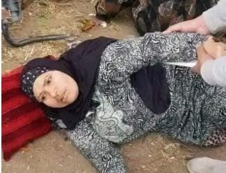 اول صور لضحايا سقوط شجرة على سيارة نقل محملة بعمال اليومية بالدقهلية