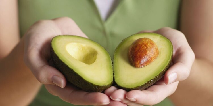 الأفوكادو.. أذكى طريقة للحفاظ عليه طازجًا لمدة تصل إلى شهر
