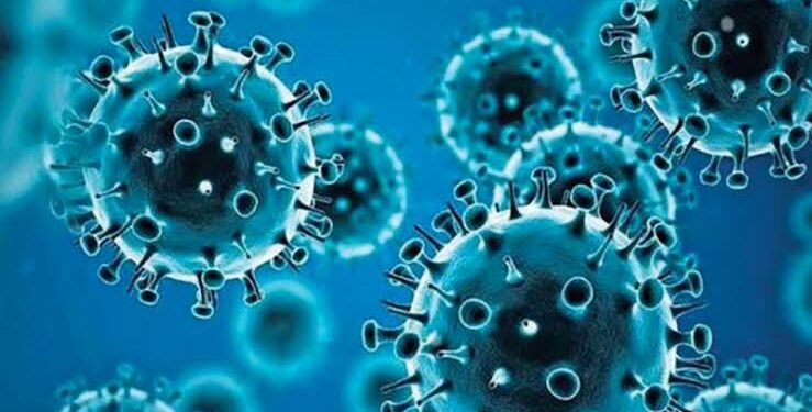 الظهور السريع لمتغيرات COVID الجديدة بسبب قدرة الفيروس على التطور السريع للانفجار