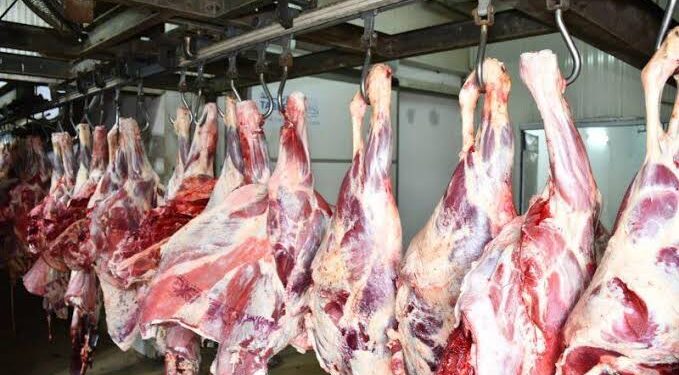 أوقاف الأقصر: توزيع ٢٠٠٠ كيلو لحوم على المستحقين في شهر فبراير