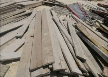 إصابة شقيقين بعد سقوط عرق خشب عليهما في بني سويف 