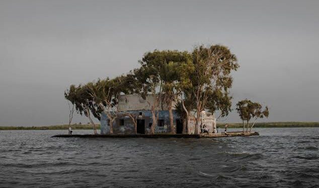 استئناف حركة الصيد ببحيرة البرلس بعد توقفها ٣ أيام