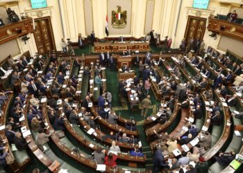 برلماني: مبادرة الحكومة لخفض أسعار السلع تقضي على الاحتكار