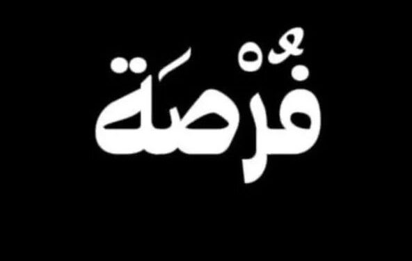 تأثير المعالجة البصرية الحديثة على نسب تفاعل الجمهور الرقمي