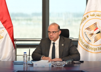 محمد فريد وزير الاستثمار