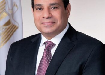 الرئيس عبد الفتاح السيسى