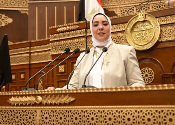برلمانية تطالب الحكومة بترجمة توجيهات الرئيس “السيسي” إلى خطط تنفيذية واضحة ومحددة