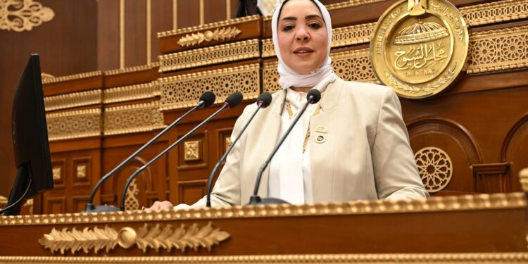 برلمانية تطالب الحكومة بترجمة توجيهات الرئيس “السيسي” إلى خطط تنفيذية واضحة ومحددة