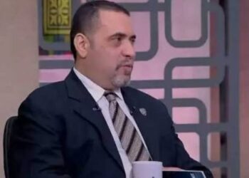 حازم المنوفى