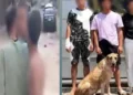 الداخلية تضبط 4 أشخاص ترهبوا المارة بـ “كلب” وإشارات خادشة في الإسكندرية (فيديو)