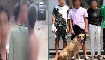الداخلية تضبط 4 أشخاص ترهبوا المارة بـ “كلب” وإشارات خادشة في الإسكندرية (فيديو)