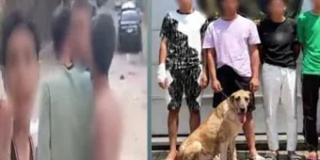 الداخلية تضبط 4 أشخاص ترهبوا المارة بـ “كلب” وإشارات خادشة في الإسكندرية (فيديو)