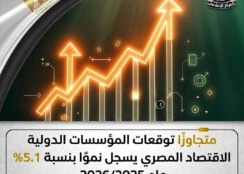 انفوجراف توضيجى