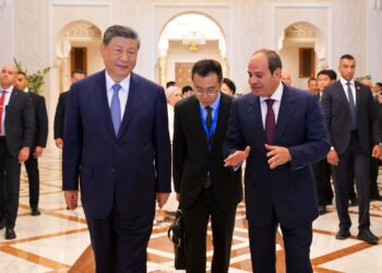 الرئيس السيسى ونظريه الصينى