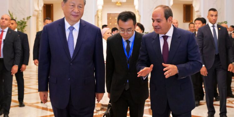 الرئيس السيسى ونظريه الصينى