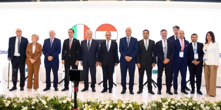 وزير الخارجية السفير بدر عبد العاطى وجانب من اللقاء