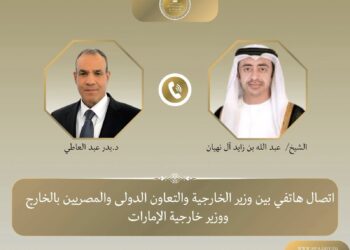 وزير الخارجية المصرى ونظيره الإماراتى