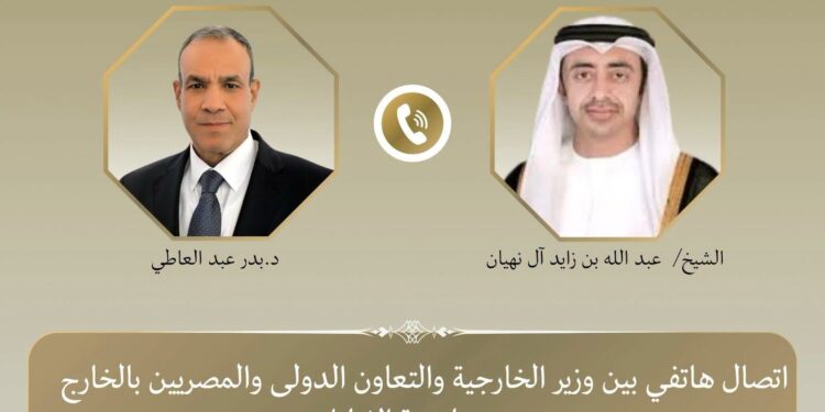 وزير الخارجية المصرى ونظيره الإماراتى