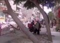 عن قطع إحدى الاشجار بشارع مصطفى حافظ في حى عين شمس  .. محافظة القاهرة سقطت بشكل طبيعي