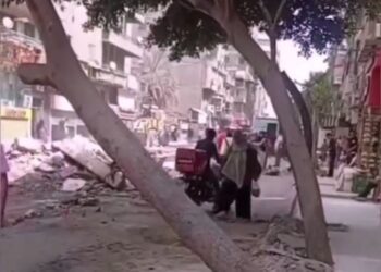عن قطع إحدى الاشجار بشارع مصطفى حافظ في حى عين شمس  .. محافظة القاهرة سقطت بشكل طبيعي