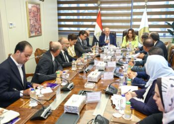 وزيرة التنمية المحلية وجانب من اللقاء