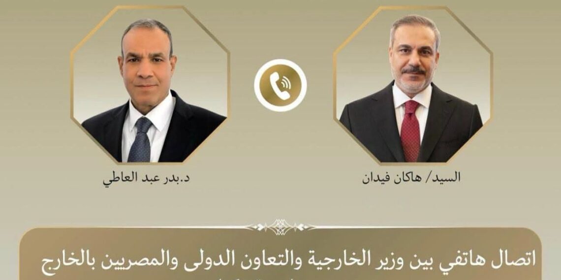 وزير الخارجية المصرى ونظيره التركى