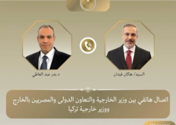 وزير الخارجية المصرى ونظيره التركى
