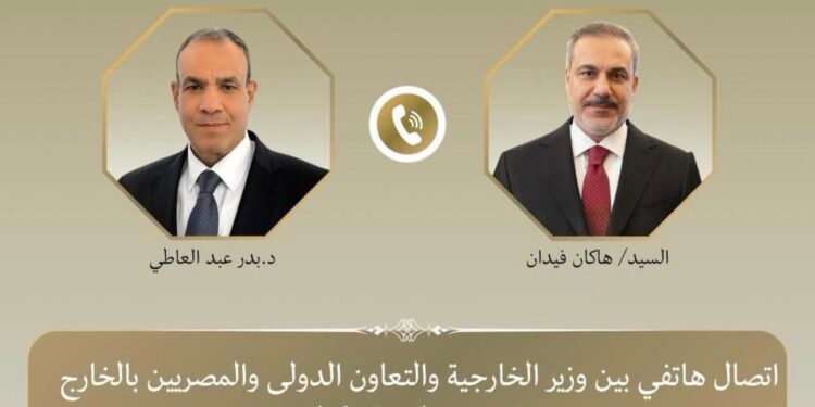 وزير الخارجية المصرى ونظيره التركى