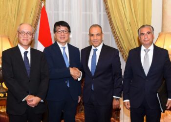 وزير الخارجية بدر عبد العاطى وجانب من اللقاء