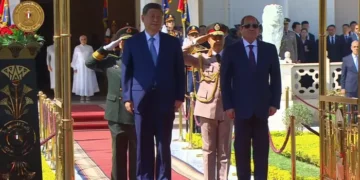 السيد الرئيس عبد الفتاح السيسى ونظيره الصينى