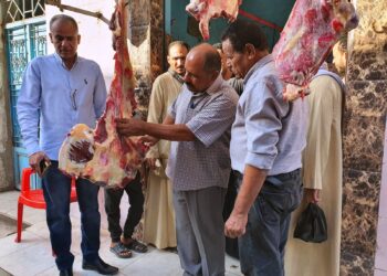 بسبب مخالفات الأسعار والذبح.. تحرير 19 محضرًا وضبط 3 أطنان سلع بجهينة