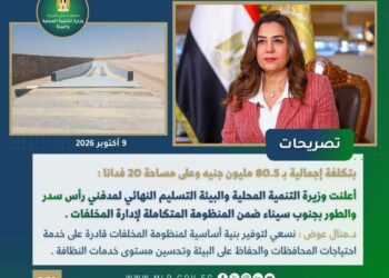 وزيرة التنمية المحلية والبيئة
